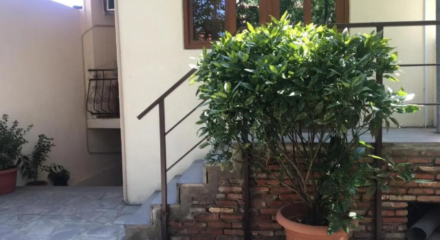 Economică cameră Heyvany Hotel