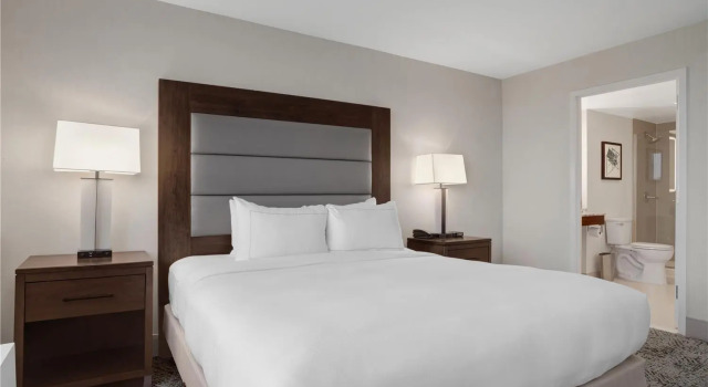 Двухместный полулюкс Hilton Arlington National Landing