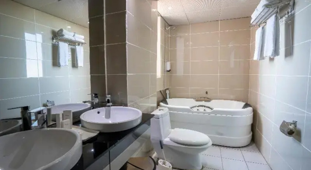 Полулюкс Standard Haile Resort-Gondar