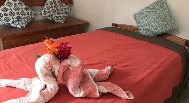 Ayahuaska, Book Hotel Hoteller i Sauce med morgenmad, Morgenmad