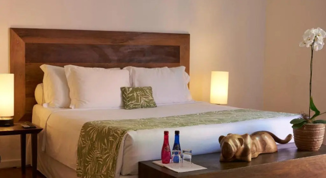 Двухместный номер Superior Santa Teresa Hotel Rio de Janeiro - MGallery Collection