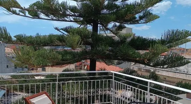 Номер Premium Hotel Minos