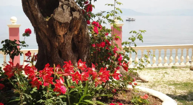 Apartments Corfu Sun Sea Side