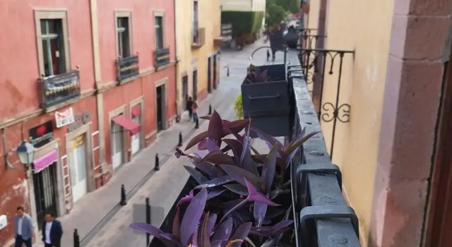 Casa Magnolia Queretaro Todo Incluido
