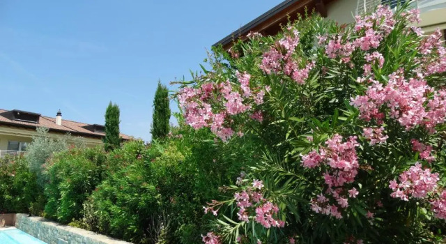 Апартаменты Phoenix Garda Hills