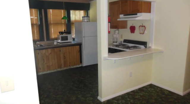 Люкс Deluxe Evergreen Motel