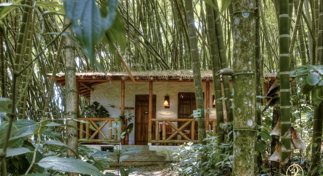 Одноместный номер Standard Hotel Bosques Del Saman Alcala