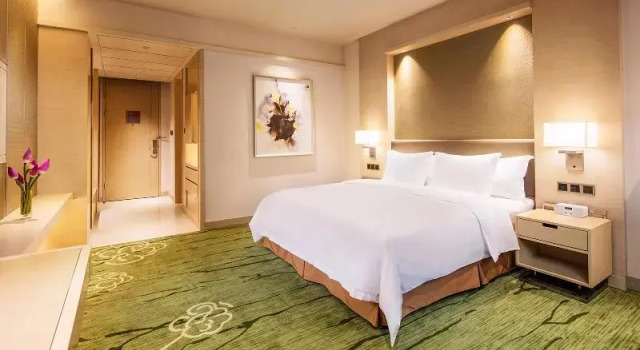 Номер Standard Chongqing High-Tech Holiday Hotel