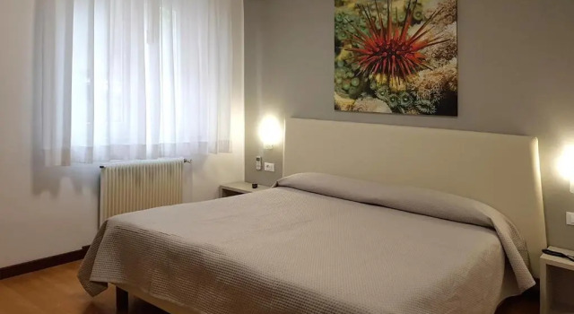 Номер Economy Hotel Carol