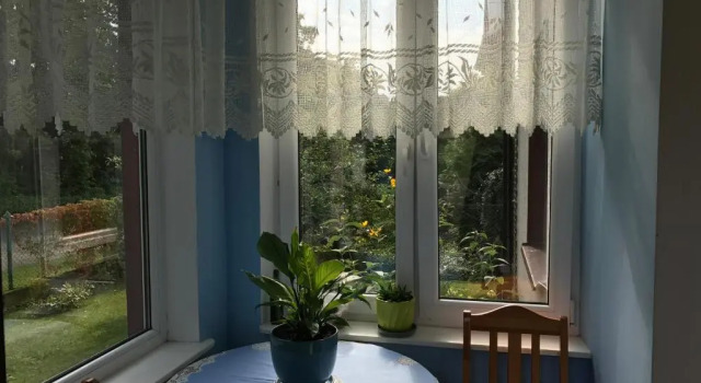 Люкс Deluxe Jasi Stay