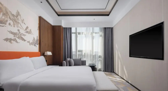 Двухместный люкс Deluxe Hilton Garden Inn Shanghai High-Speed East Railway Station
