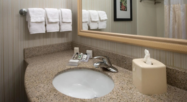 Двухместный люкс Отель Hilton Garden Inn Macon / Mercer University