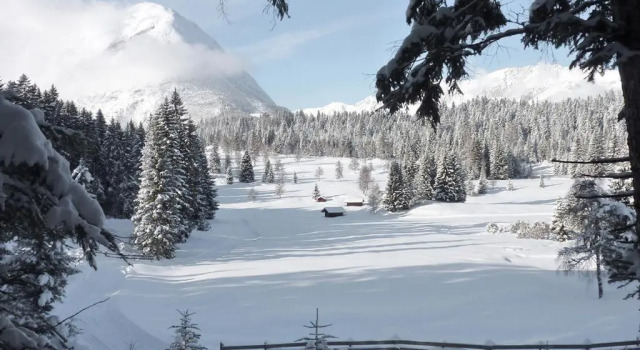 Апартаменты Family Friendly Chalet - Central with Beautiful Mountain Views