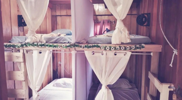 Кровать в общем номере Woodstock Hostel