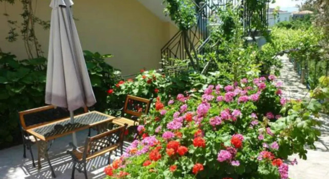 Апартаменты Pantheon Apartments & Studios