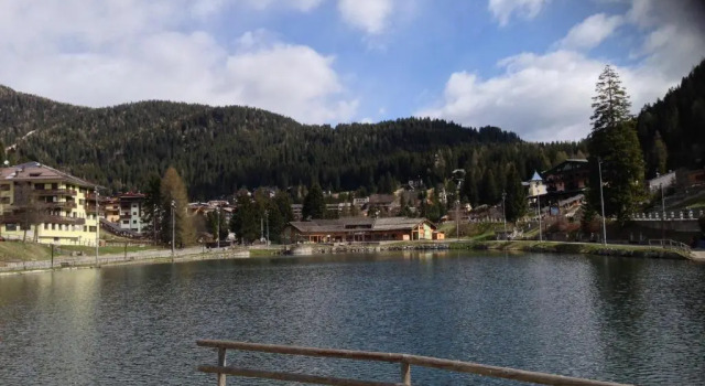 Апартаменты Appartamento Campiglio
