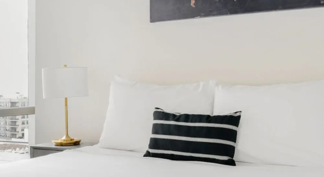 Студия Deluxe Kasa South Loop Chicago