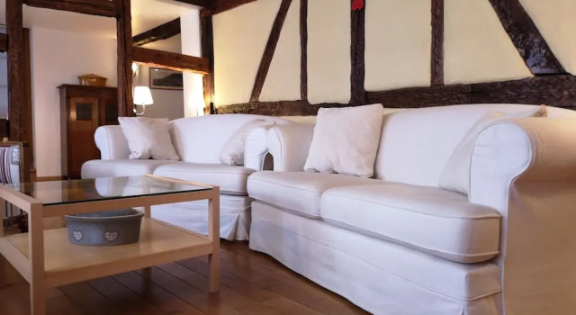 Magnifique Loft Alsacien - Sauna