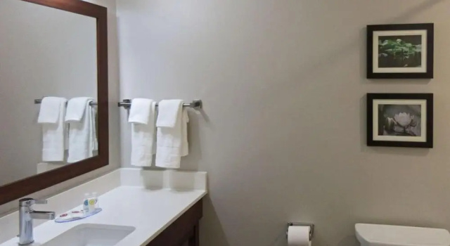 Двухместный номер Standard Comfort Inn & Suites Brunswick I-95