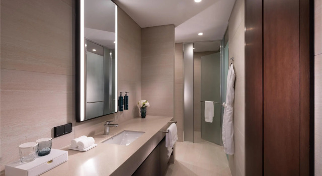 Люкс Deluxe c 1 комнатой DoubleTree By Hilton Seoul Pangyo