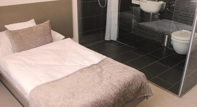 Standard huone Hotel Lev