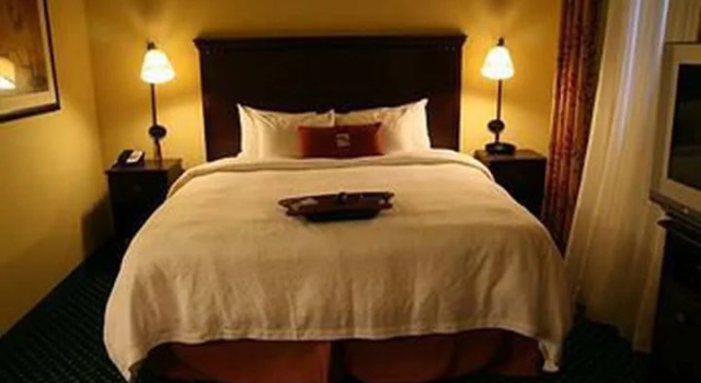 Четырёхместный номер Standard Hampton Inn & Suites Clearwater St Petersburg Ulmerton Road FL