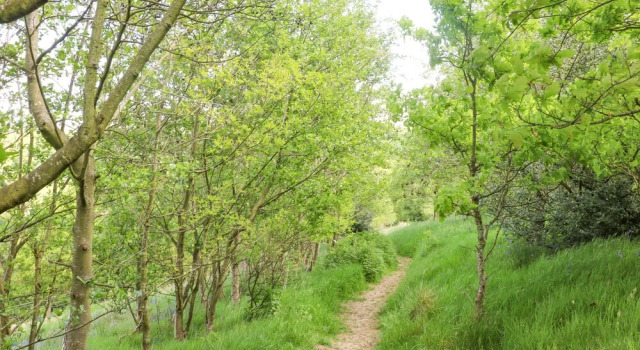 Rowan Bank, Jacobs Wood, Réserver Hôtel Keighley Yorkshire de l'Ouest
