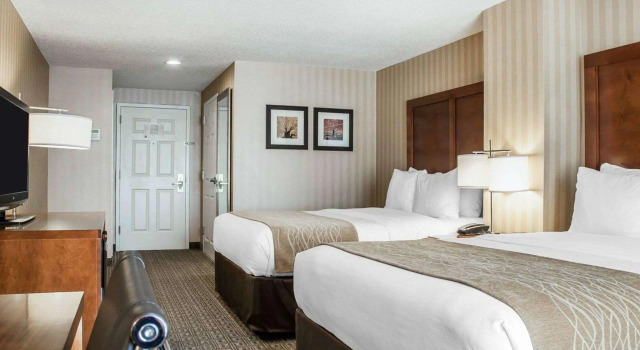 Четырёхместный номер Standard Comfort Inn & Suites Sturbridge-Brimfield