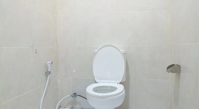 Кровать в общем номере Arta Garden Guest House & Hostel