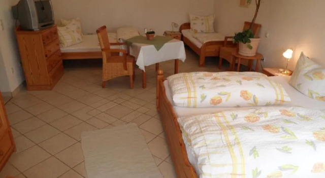 Семейный номер Standard Hotel Linde