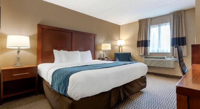 Номер Standard Comfort Inn University