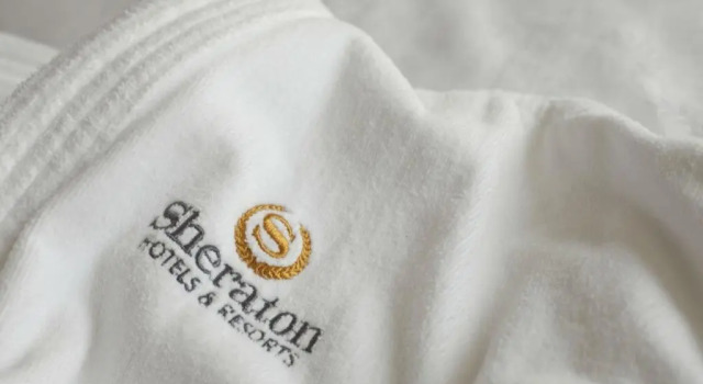 Двухместный номер Superior Sheraton Offenbach Hotel