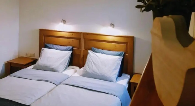 Двухместный номер Standard Tisza Lodge B&B - Panzió