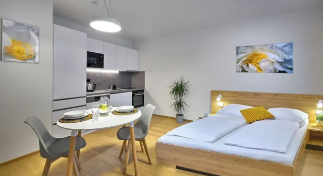 Monolocale Superior con balcone e con vista sul cortile DownTown Suites Andel