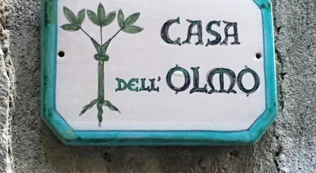Apartment Casa dell'Olmo