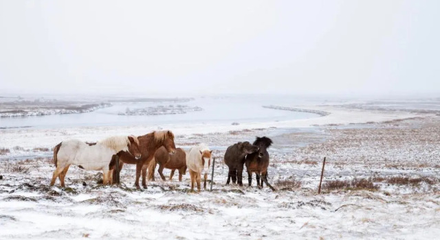 Вилла Experience Beautiful Iceland