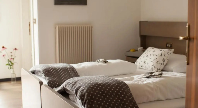 Двухместный номер Standard Hotel Scoiattolo