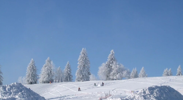 Modern Apartment on the 1st Floor at the Foot of the Feldberg with Use of Garden