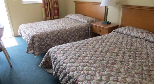 Четырёхместный номер Standard Country Lodge