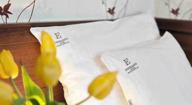 Номер Standard Hotel Esperanto