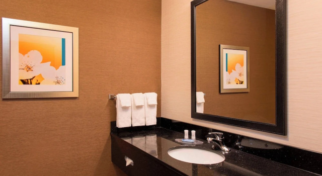 Люкс Fairfield Inn and Suites by Marriott Chicago St. Charles