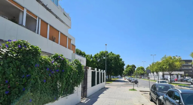 Chapín Jardines Piscina Terraza 3 Rooms 2 baños, Забронировать Апартаменты/квартира Отели Херес-де-ла-Фронтера с бассейном, рядом с Fair of Horses, Бассейн