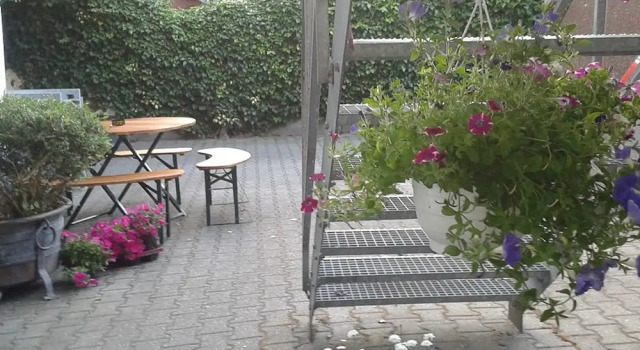 Hotel Gaststätte Pfingsten