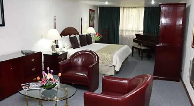 Номер Superior Pedregal Palace