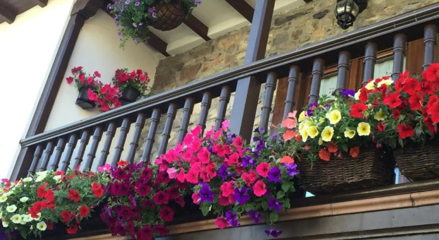 La Casona de Benito, Book Hotel Cudillero 