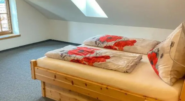 Двухместный номер Standard Gasthof Franziskibad