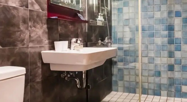 Двухместный номер Economy Hotel de Trianon
