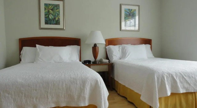 Номер Standard Viscay Hotel