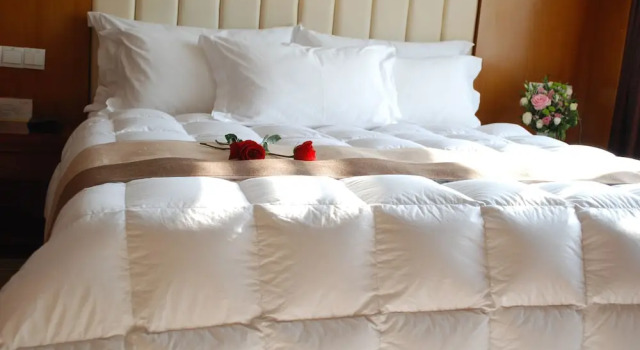 Номер Business Sichuan Hotel Shenzhen,Near Huaqiang North