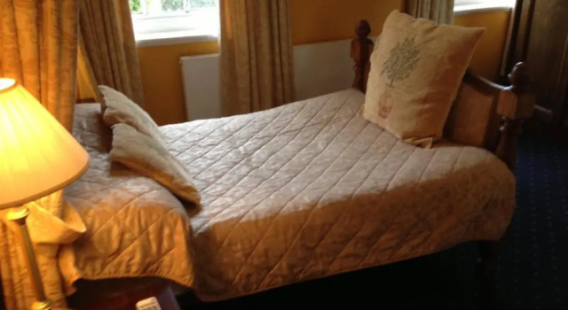 Одноместный номер Standard Ty Newydd Country Hotel
